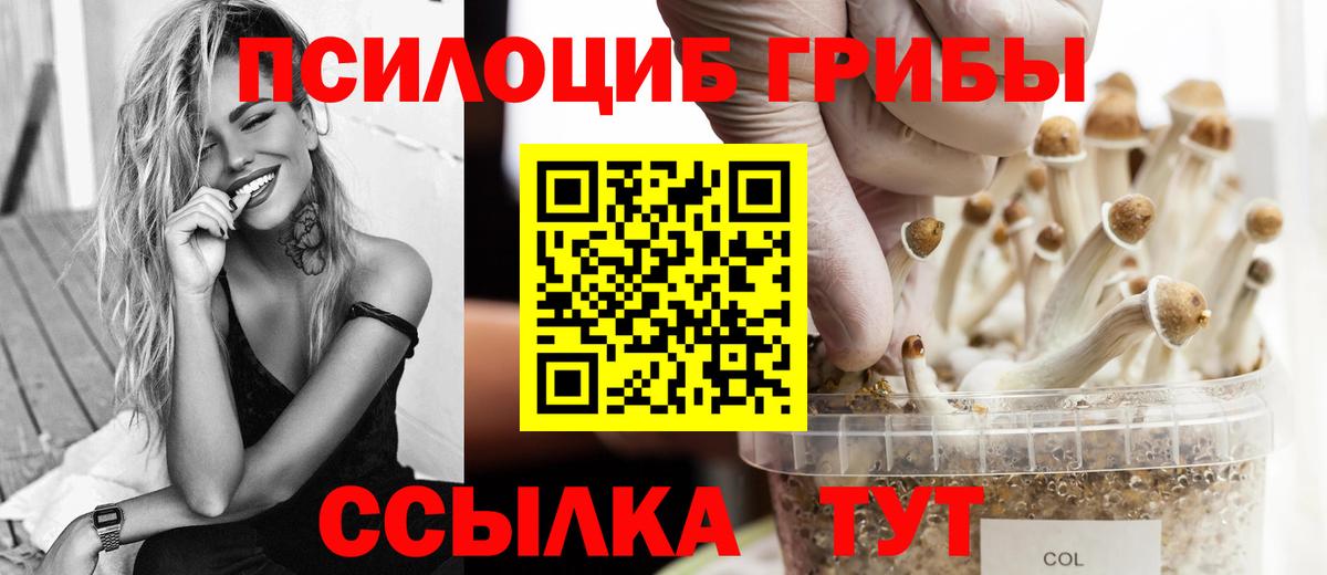 Галлюциногенные грибы GOLDEN TEACHER  Вход с VPN  купить наркотик  Мелеуз  Псилоцибиновые грибы Magic Shrooms 
